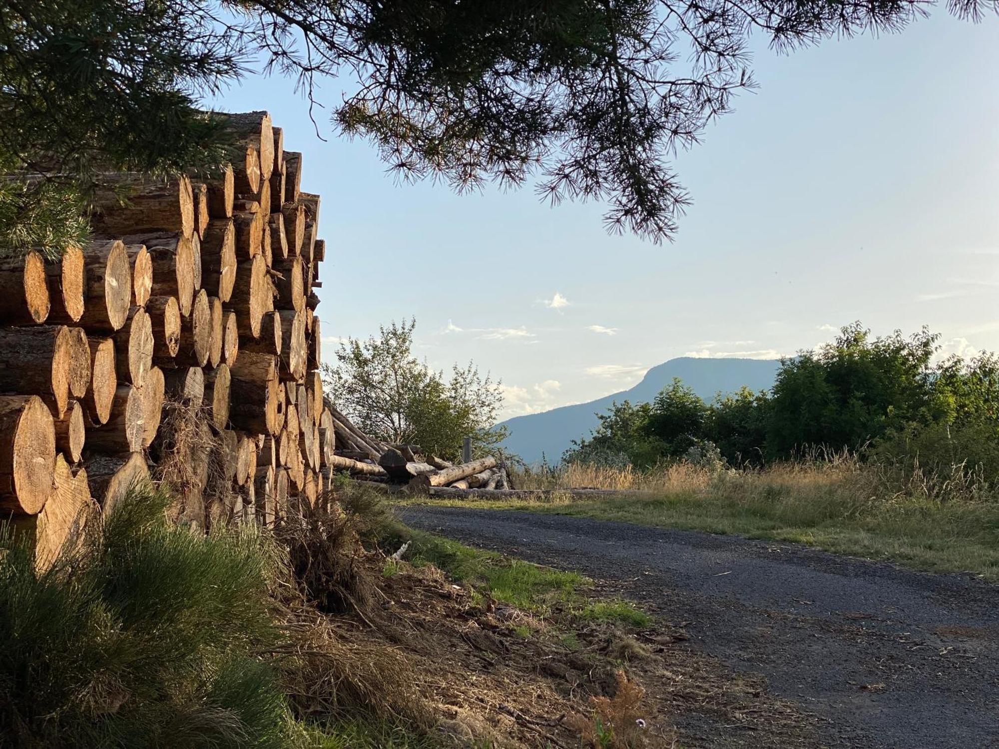 Tiny House De Tempoyrac Holiday home