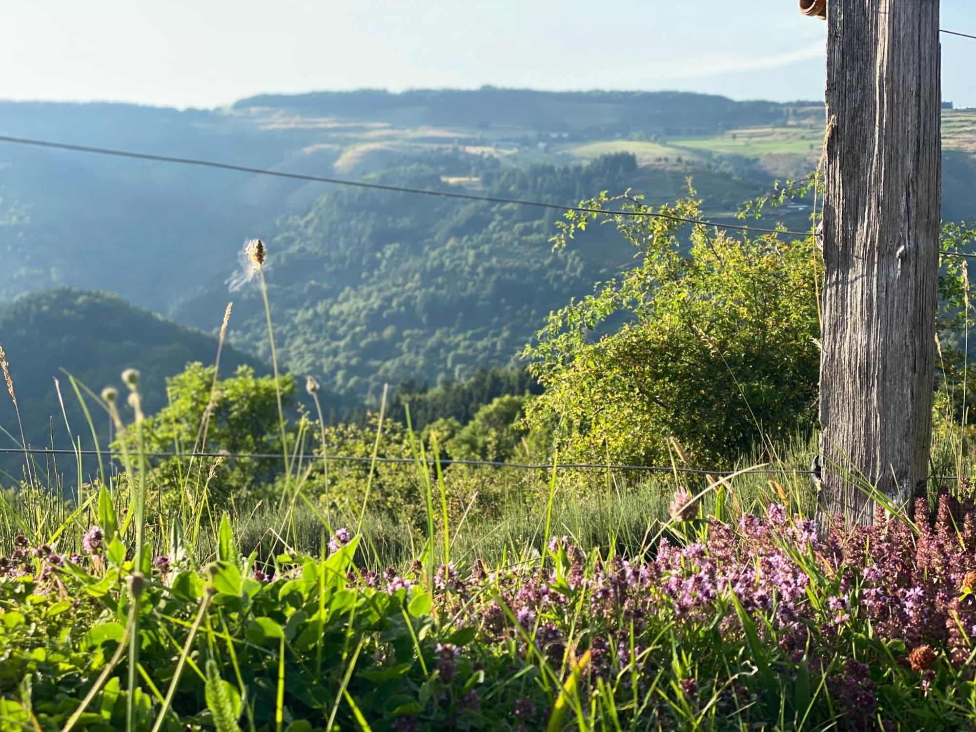 Holiday home Tiny House De Tempoyrac *