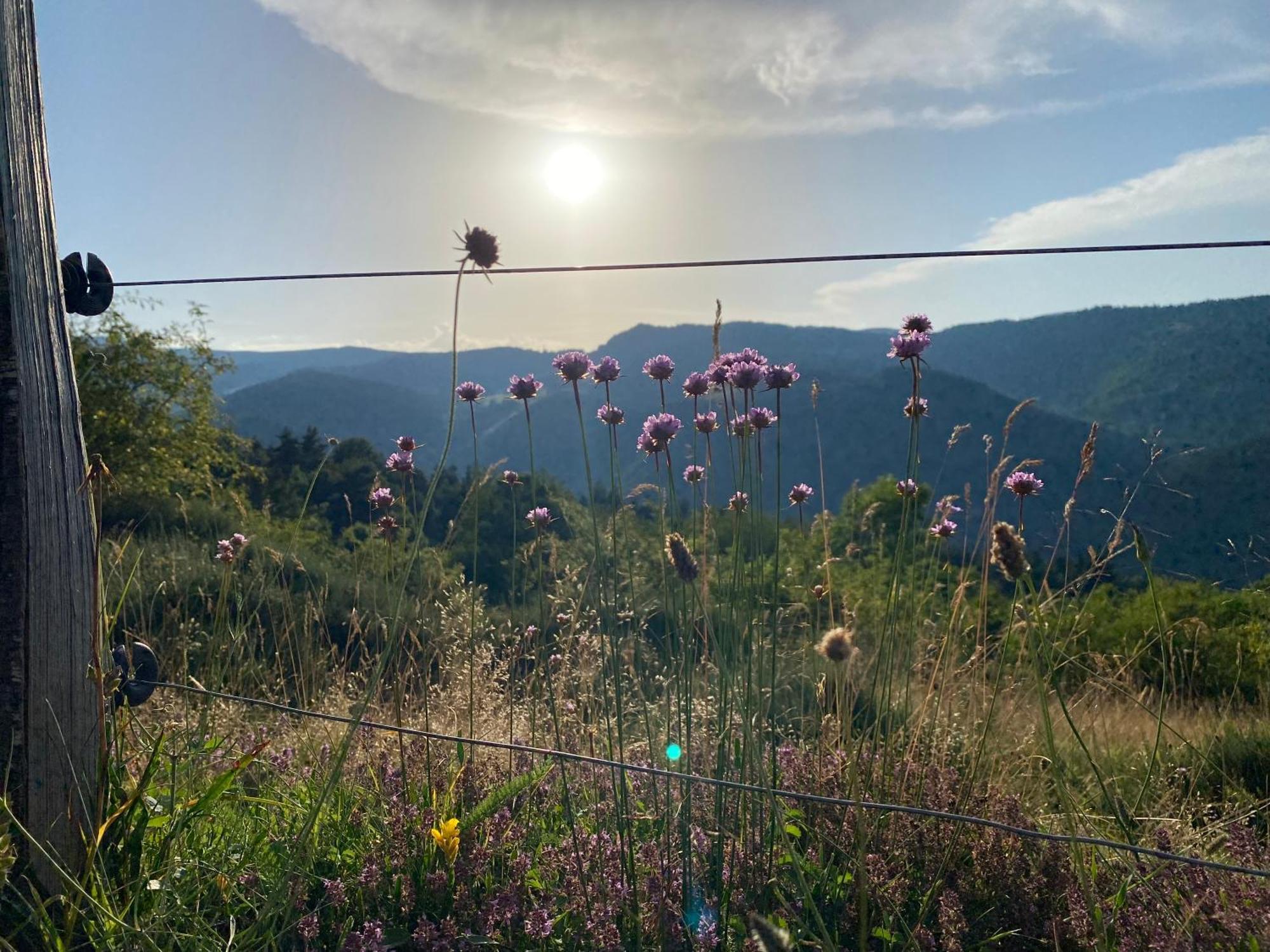 Tiny House De Tempoyrac La Rochette (Ardeche)